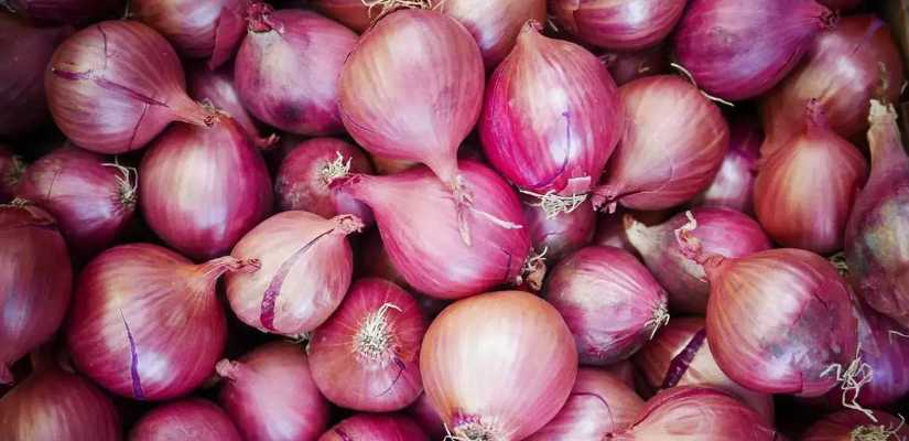 Onion Suppliers in Pune Onion Suppliers in Pune