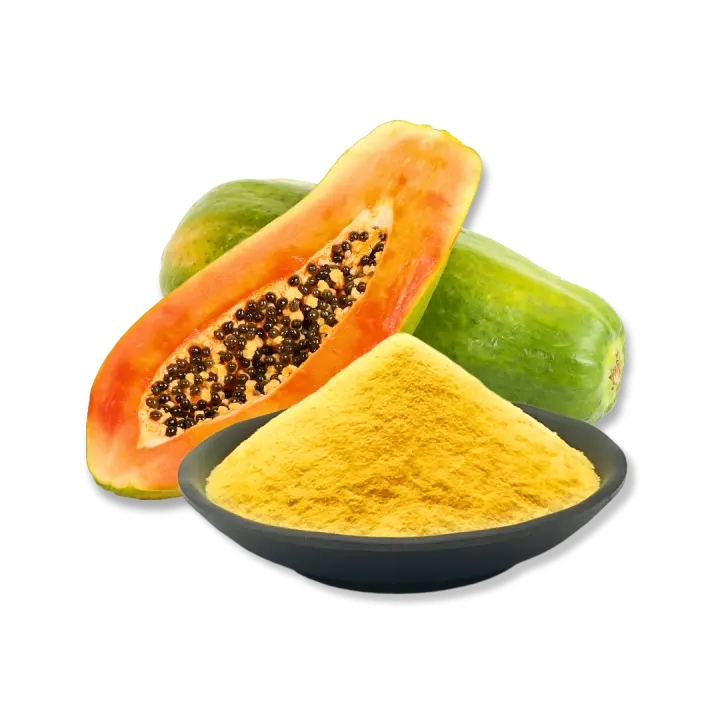 Papaya Powder Suppliers in Pune Papaya Powder Suppliers in Pune
