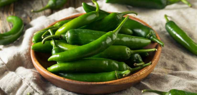 green chilli Suppliers in Pune